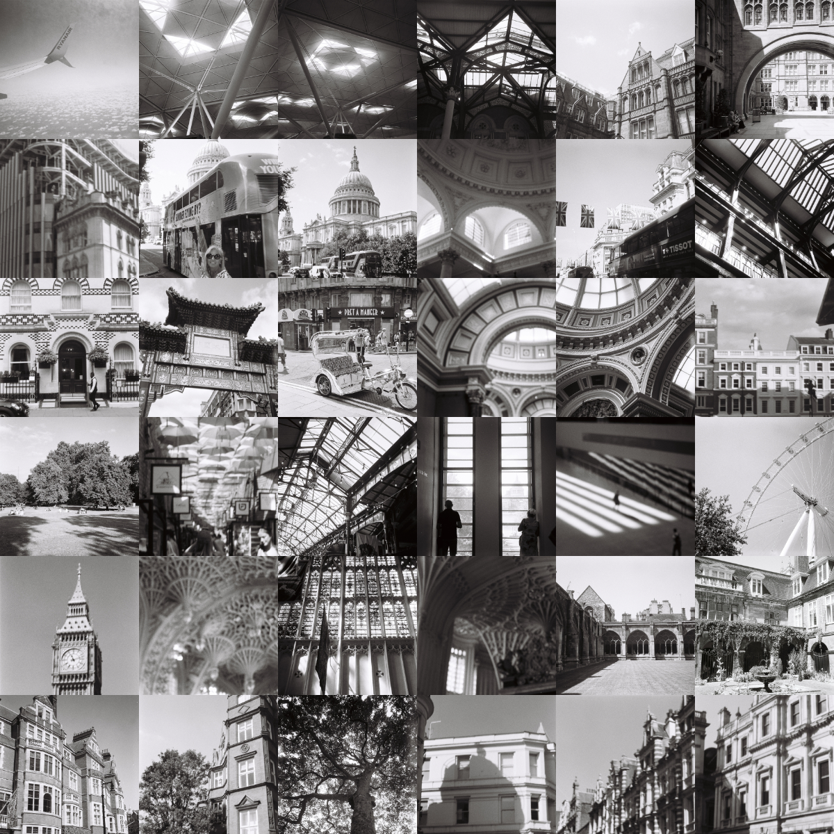 Snapshots from a Summer Escape